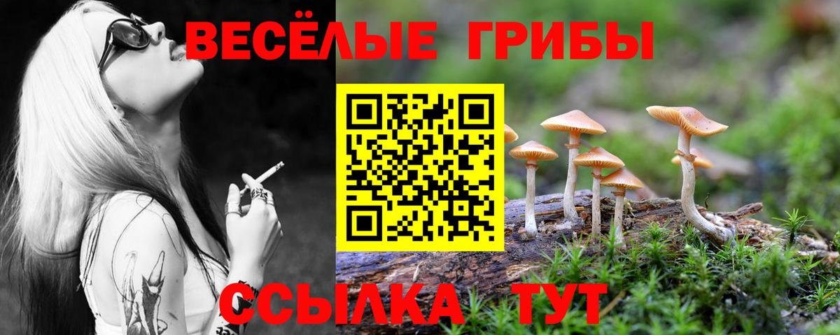 Краснокамск  Галлюциногенные грибы мицелий  Вход с VPN  Псилоцибиновые грибы мухоморы 